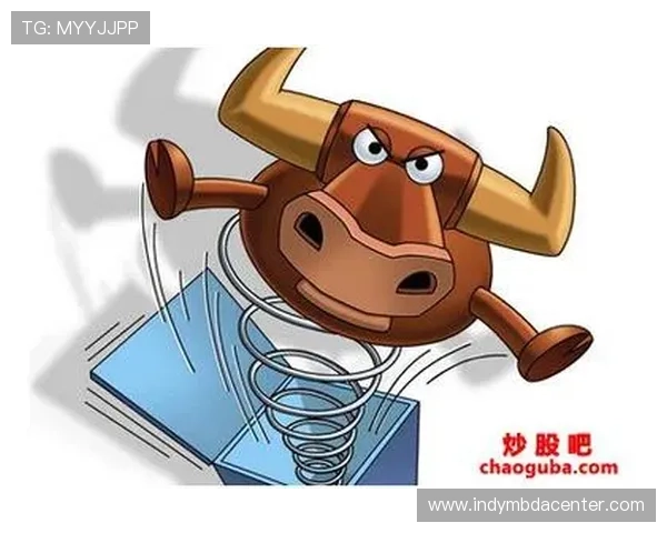 博鱼APP最新版本更新内容详解带来哪些实用新功能