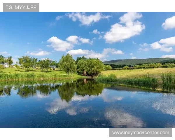 星空体育体育倡导绿色运动理念,推动可持续发展体育生态系统建设